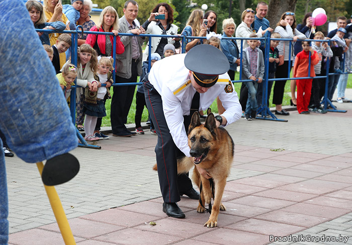 служба Гродно