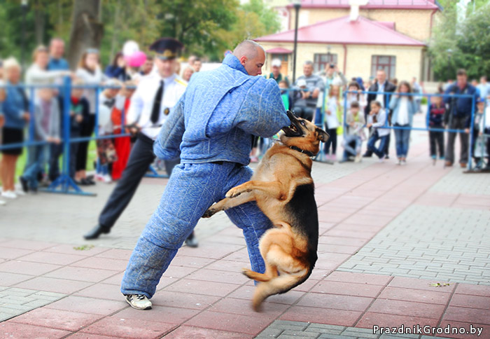 Гродненские кинологи