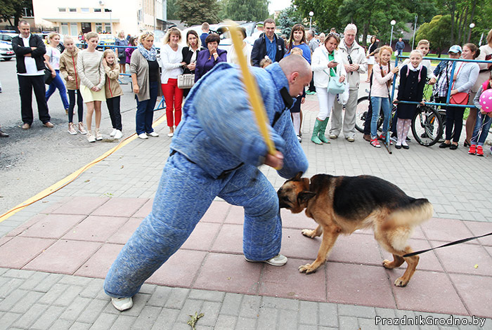 служебные собаки Гродно